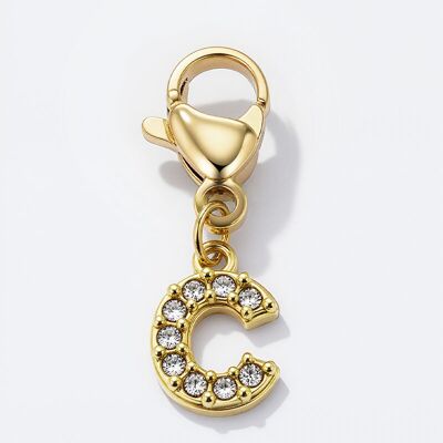 Ciondolo in strass in acciaio inossidabile CHARM-C