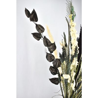 Mazzo di fiori secchi - Bianco e nero - 70 cm - Fiori naturali