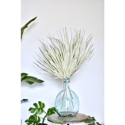 Palm leaf - chamaerops - frosted white - dried flowers