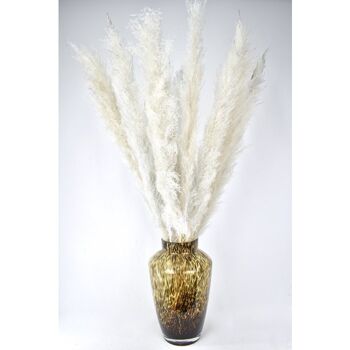 Panaches de la pampa - Cortaderia - blanc/gris- 100cm 1