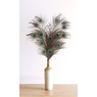 Peacock feathers - 10 pieces - 100 cm