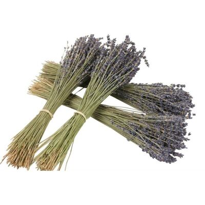 Dried lavender - natural dried flowers