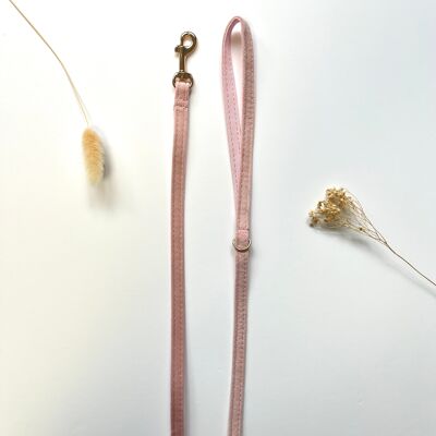 Laisse Chat et Chaton Velours Lisse Rose