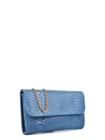 Isabella Rhea-Clutch Bag_BLU JEANS 3