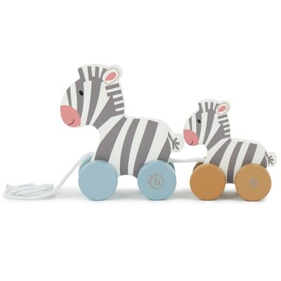 Zebre da traino