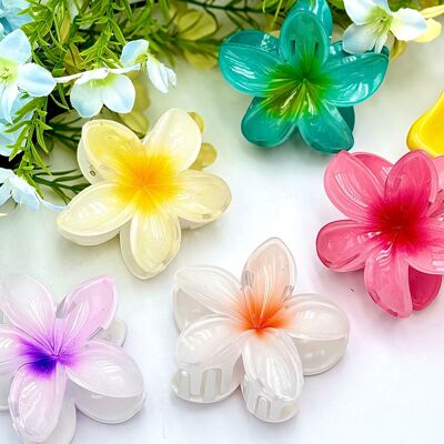Pince à cheveux fleur YH34