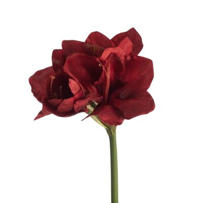 Amaryllis Artificielle L66cm Rouge