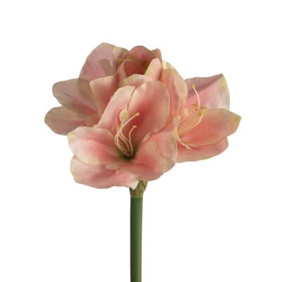 Amaryllis Artificielle L66cm Rose