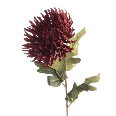 Crisantemo ragno artificiale L73cm Borgogna