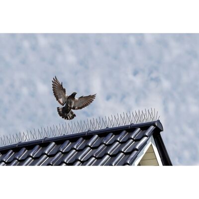 Nature Anti-bird pins 32x11x18 cm 6060160 3 pcs