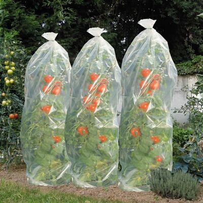 Lámina protectora Nature para cultivo de tomates 1500x50 cm