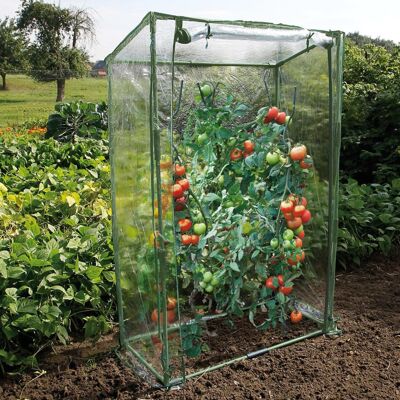 Serra per pomodori Nature 100x50x150 cm