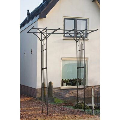 Arche de jardin Nature 114x66x232 cm métal noir