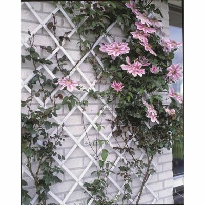 Treillis de jardin Nature 100x200 cm PVC blanc 6040703