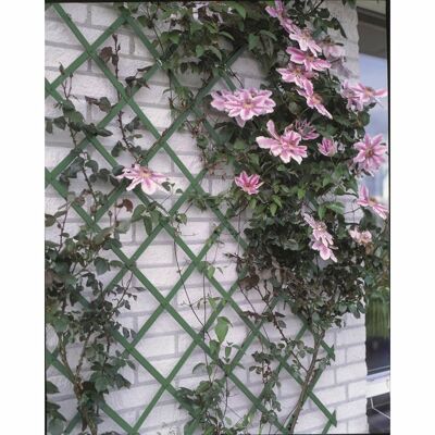 Enrejado de jardín Nature 50x150 cm PVC verde 6040702