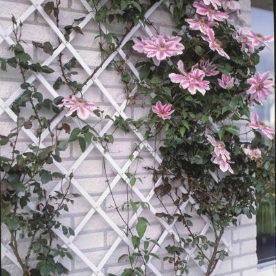 Treillis Nature Garden 100x300 cm PVC blanc