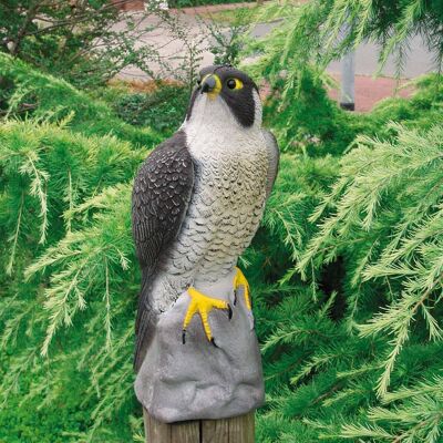 Ubbink Figurine animale faucon 40 cm