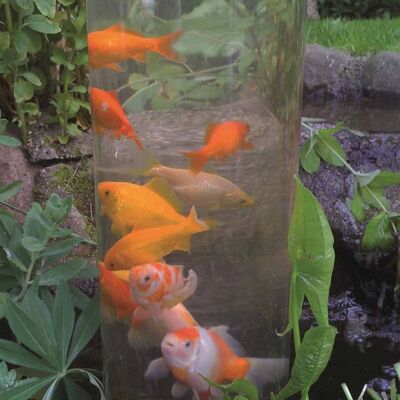 Tour à poissons Ubbink 100 cm en acrylique