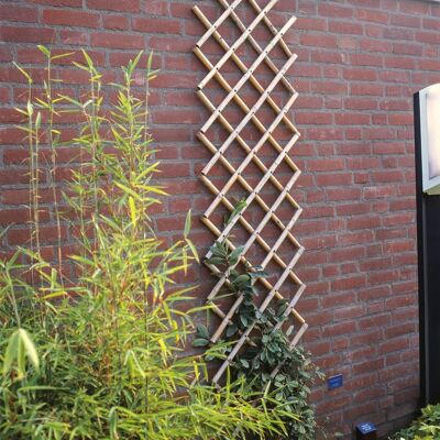 Nature Latwerk voor tuin 70x180 cm bamboe 6040721