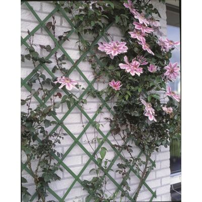 Nature Plantenklimrek 100x200 cm PVC groen 6040704