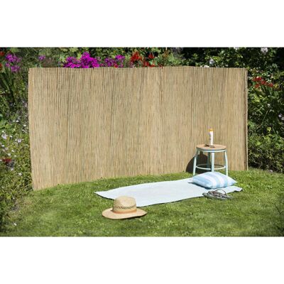 Naturaleza Tuinscherm 1,5x3 m zeggeriet