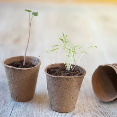 Nature Turfpotten 96 st 6x6 cm