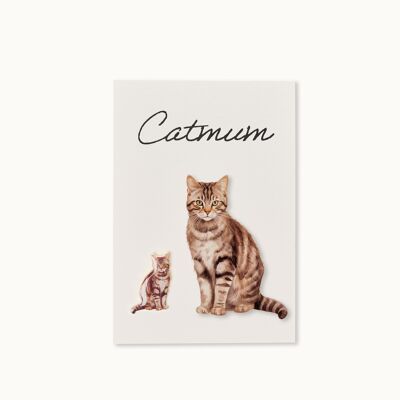 Pin map: Catmum