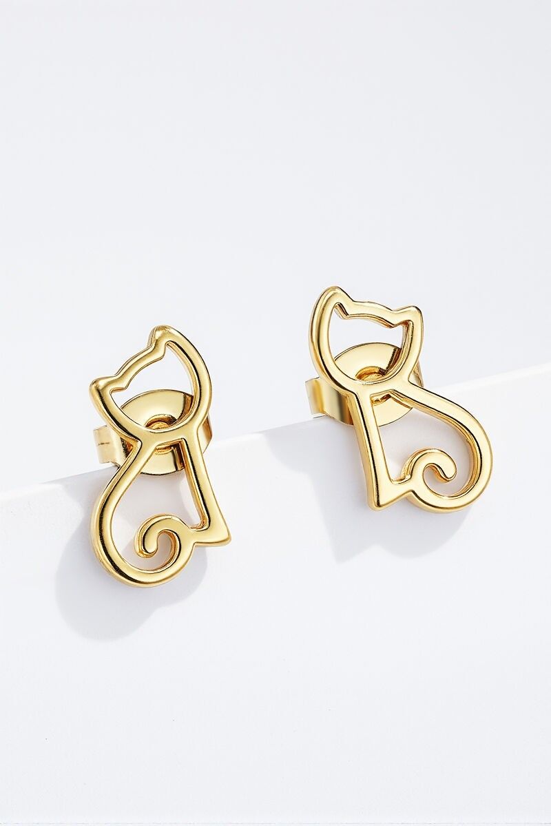 Orecchini in acciaio inossidabile 124RX143