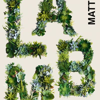 Cordero — Matt Hill