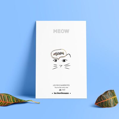 Pin's - Miao - Miao