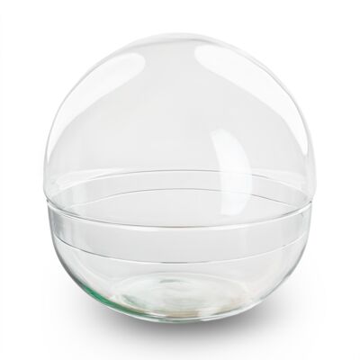 Dome - Globe glass - Bell jar - Closed terrarium ↑20 cm
