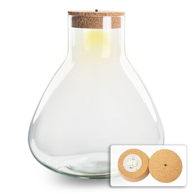 Terrarium avec liège - Sam XL avec liège led - ↑ 35 cm