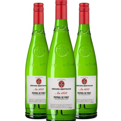 Héritage "An 1618" Picpoul de Pinet 2023 Lot 3 Bouteilles 75cl