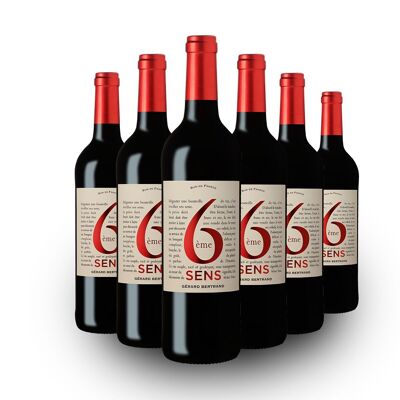 6ème sens vin rouge bio 2022 Lot 6 Bouteilles 75cl