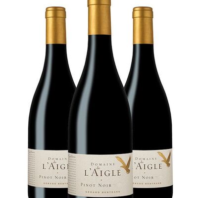 Domaine de l'Aigle Pinot Noir 2022 Lot 3 bouteilles 75cl