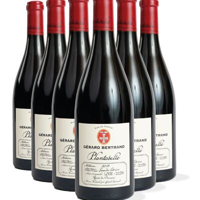 Plantabelle 2019 Caisse en Bois 6 Bouteilles 75cl