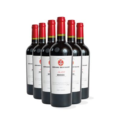 Héritage "An 873" rouge Minervois 2021 Lot 6 Bouteilles 75cl