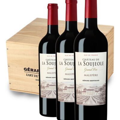 Château La Soujeole Grand Vin Rouge 75cl 2019 lot de 6 bouteilles avec caisse bois