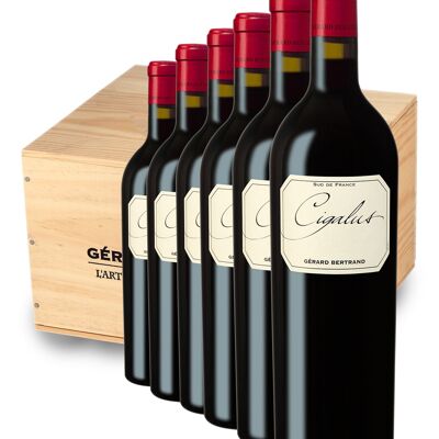Cigalus Rouge 2021 - Estuche de Madera 6 Botellas