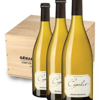Cigalus Blanc 2022 75cl Caisse Bois 6 bouteilles