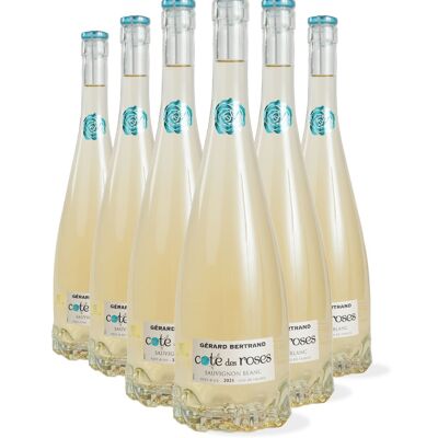 Cote des Roses Sauvignon Blanc 2023 Lot of 6 Bottles 75cl