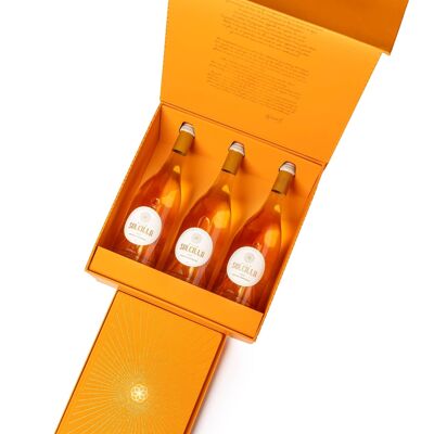 Coffret Édition Limitée Verticale 3 Millésimes Villa Soleilla