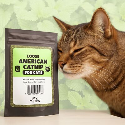 MyMeow Erba gatta 100% naturale per gatti – 20 g | Coltivata in modo sostenibile in Nord America | Solo nel Regno Unito