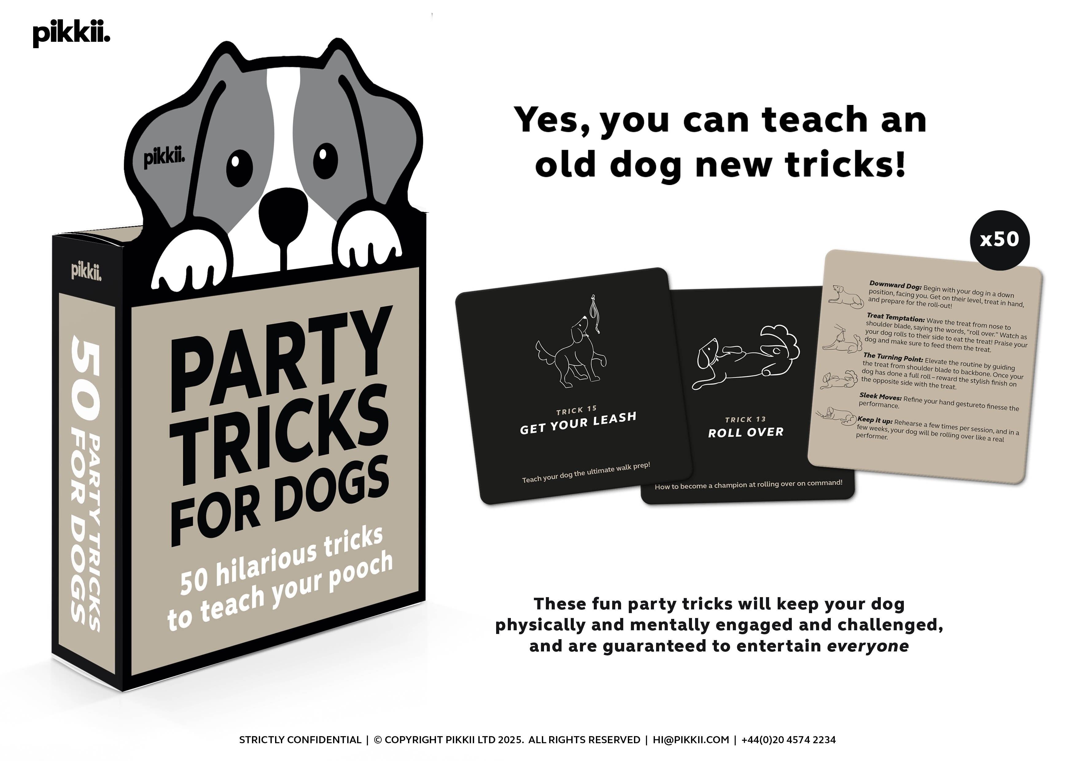 Trucchi da festa per cani (mini)