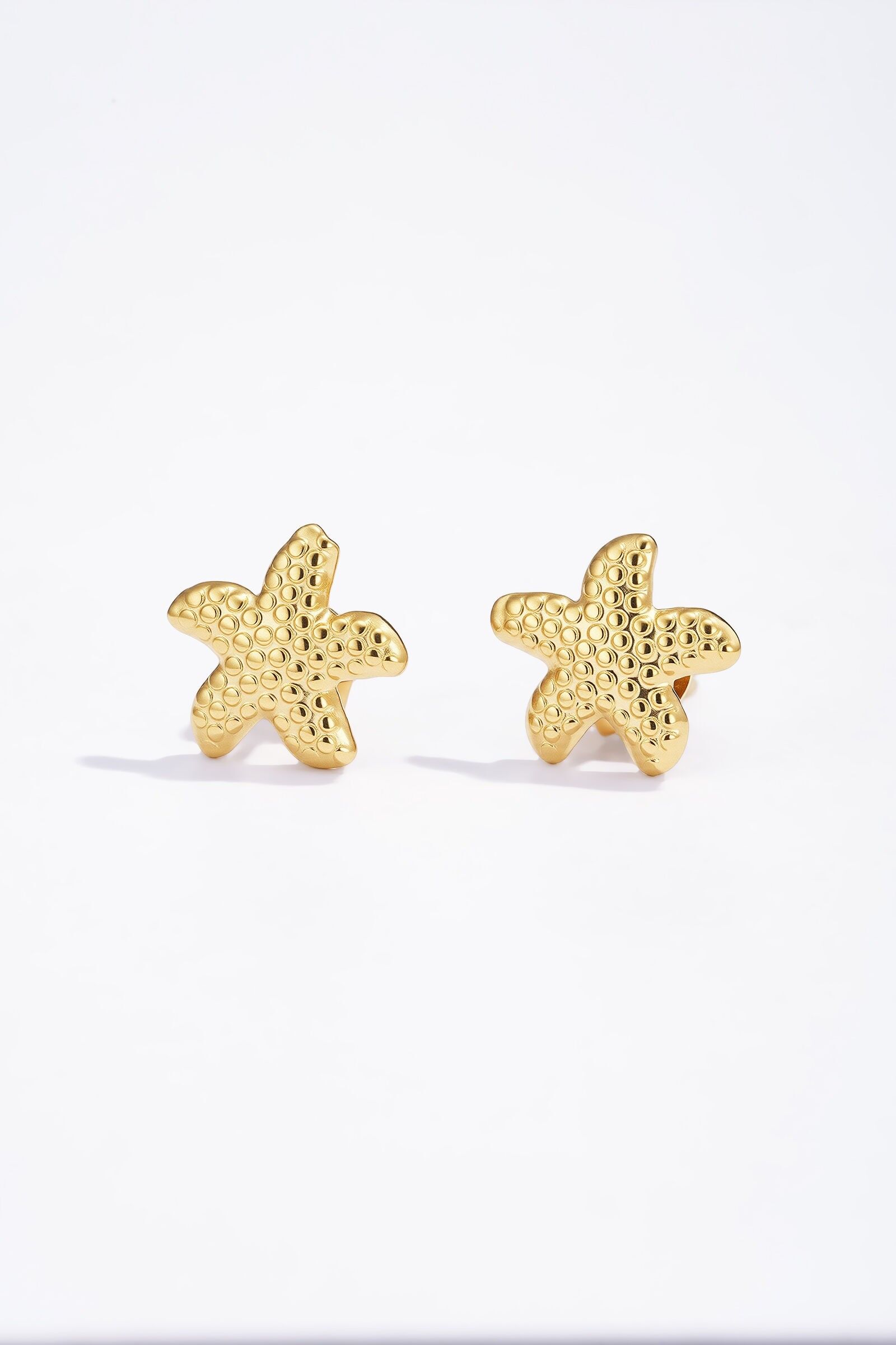 Orecchini in acciaio inossidabile 124RX146