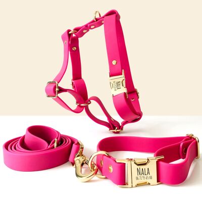 Personalized Biothane Pink Dog Collar Harness and Leash Kit