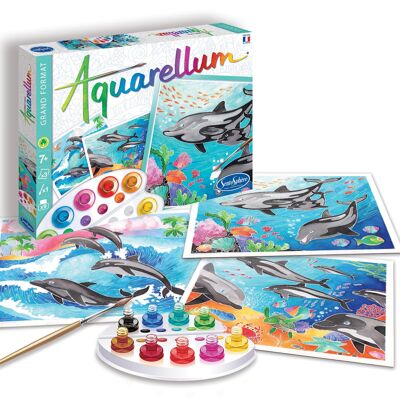 Painting for Kids - Aquarellum Dolphins - Large