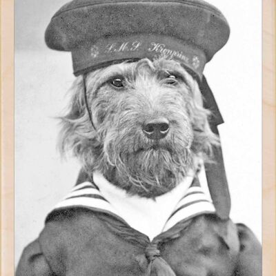 Matrosenhund, nachhaltige Holzpostkarten, 6er-Set (10×15cm) | The Wooden Postcard Company