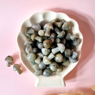 Mini champignon en pierre précieuse – Labradorite (2 cm)