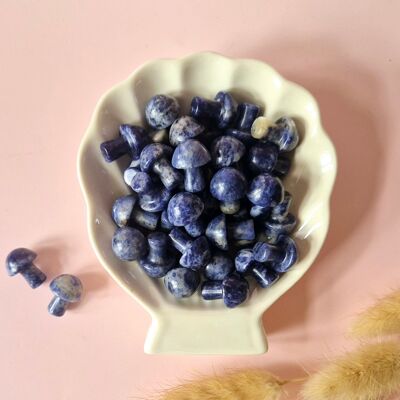 Mini champignon en pierre précieuse – Sodalite (2 cm)